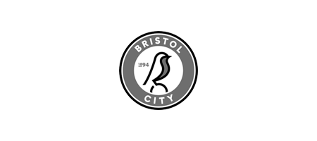 bristol city_bw